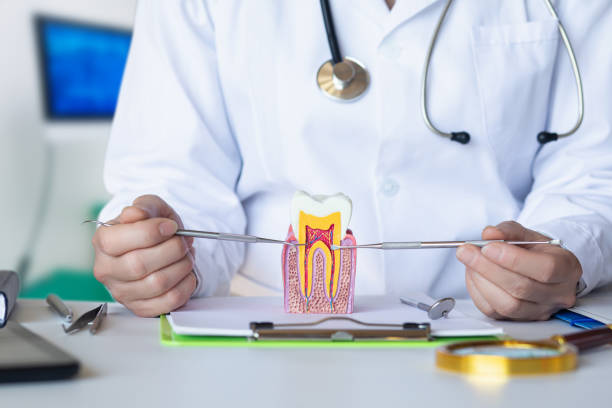 Dentist for Dental Trauma in OH
